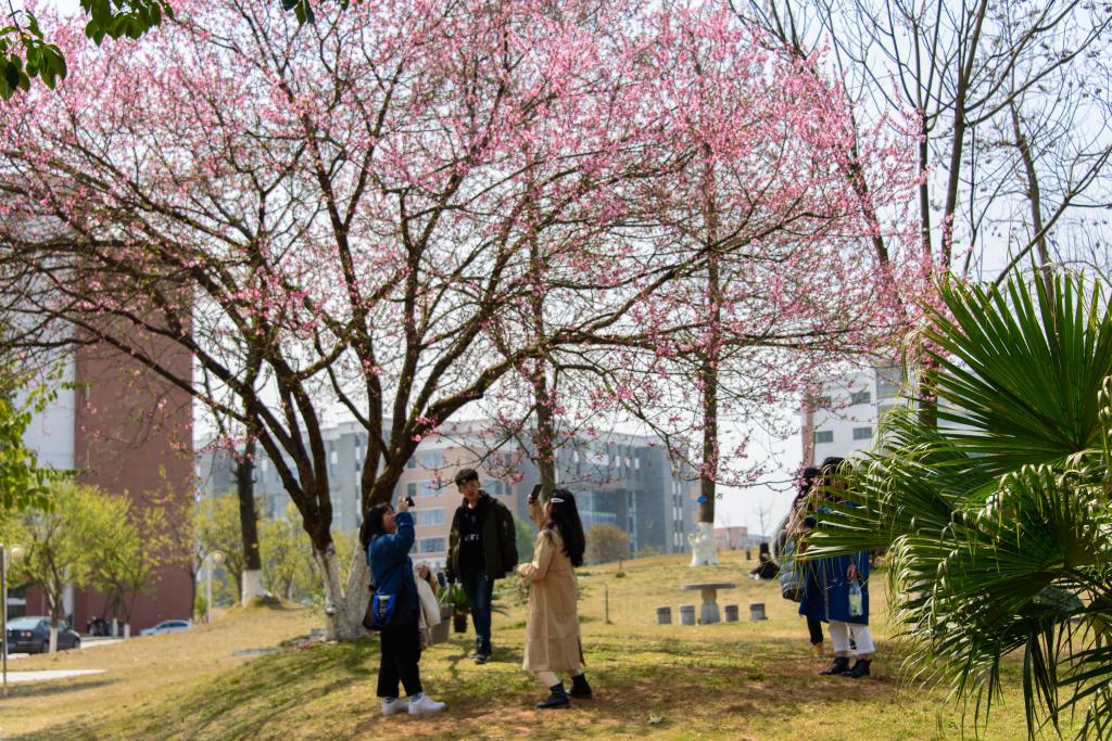 Cảnh quan khuôn viên trường.jpg